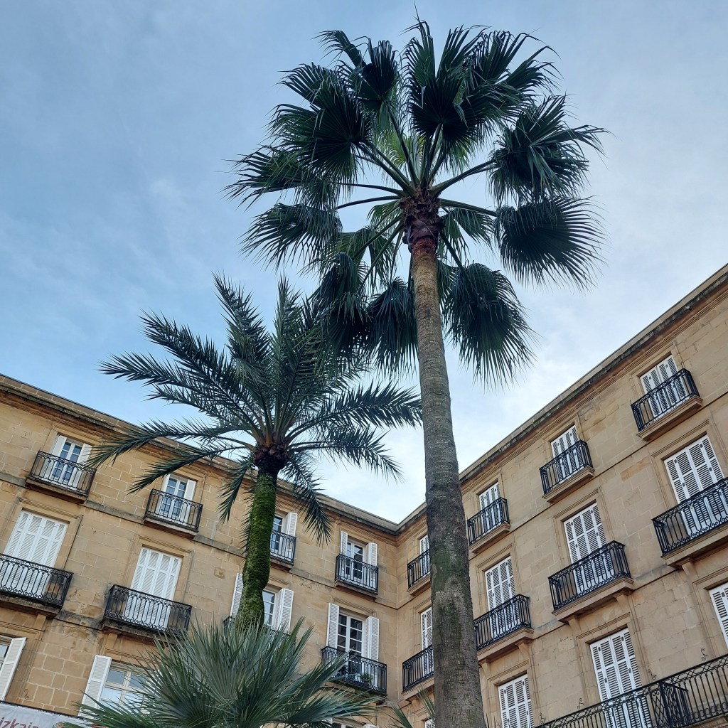 Solliciteren om stewardess te worden: Deel 4 – Het persoonlijk gesprek 